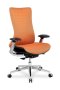 College HLC-2588F/Orange